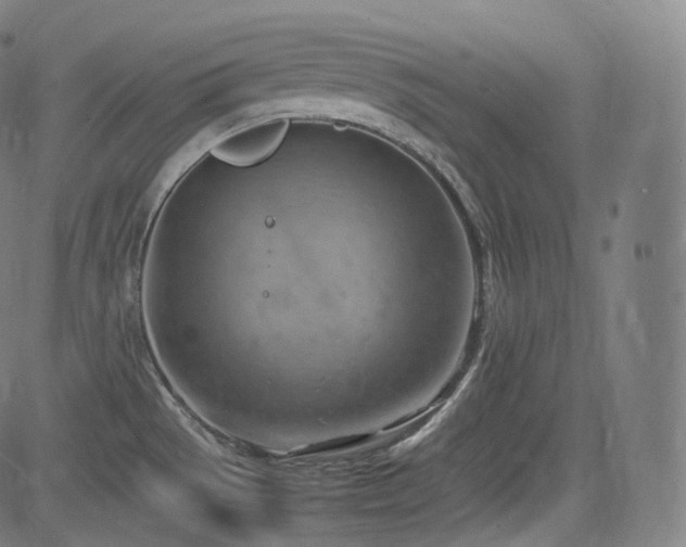 X0000085271529200703091339