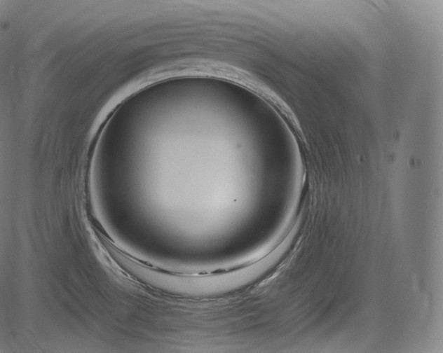 X0000085271530200703091339