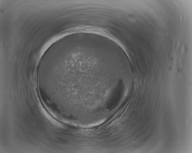 X0000085271531200703091339