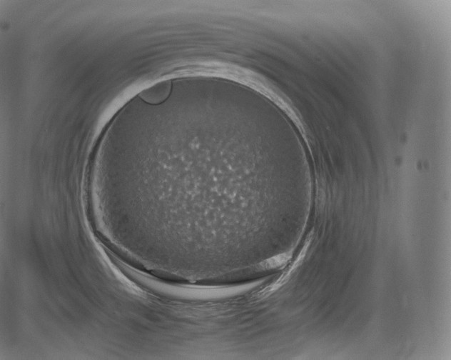 X0000085271533200703091339