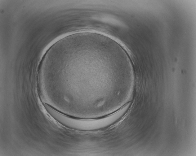 X0000085271534200703091339