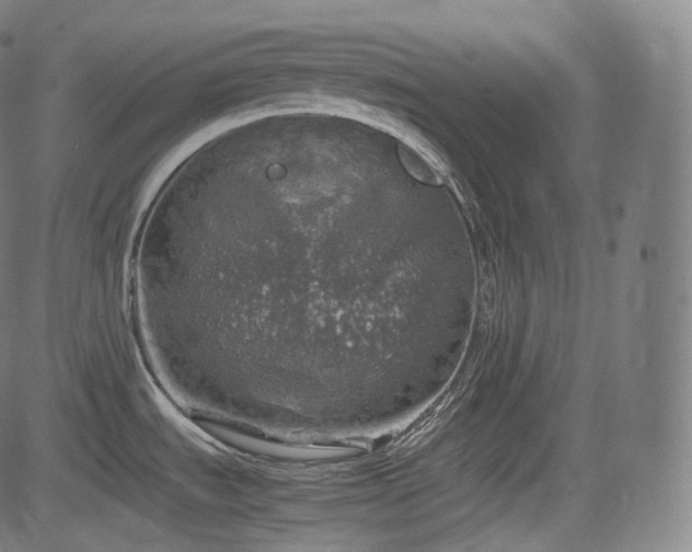 X0000085271535200703091339