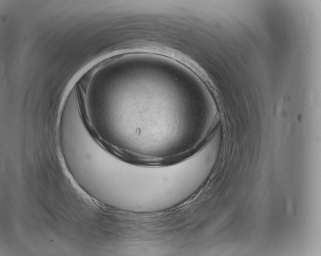 X0000085271536200703091339