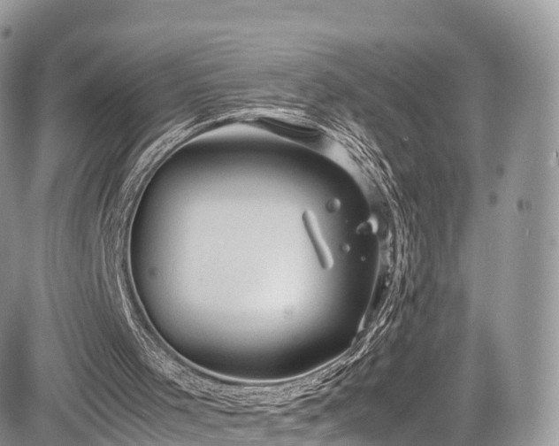 X0000085270001200703161442