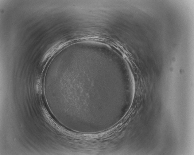 X0000085270002200703161442