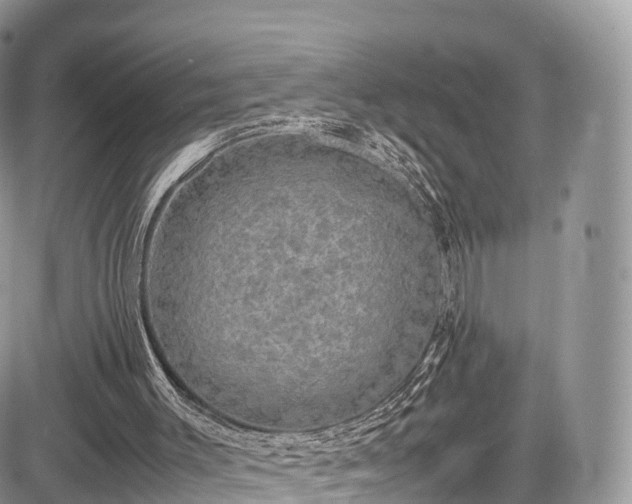 X0000085270003200703161441