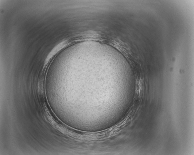 X0000085270004200703161441