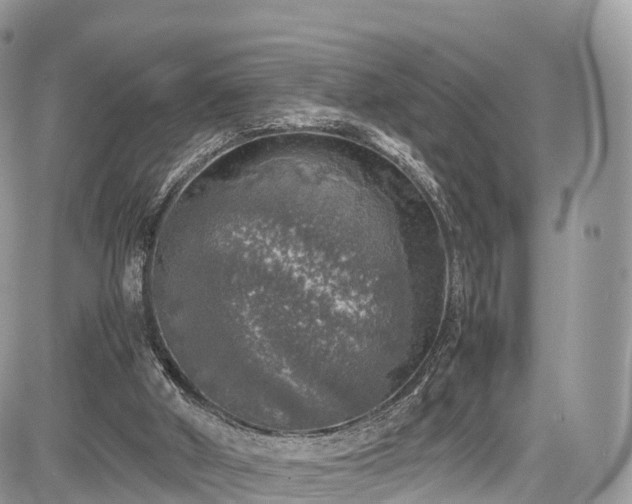 X0000085270010200703161441