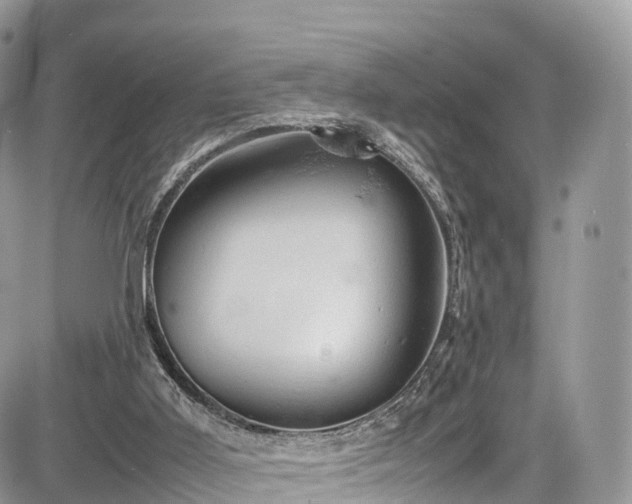 X0000085270011200703161441