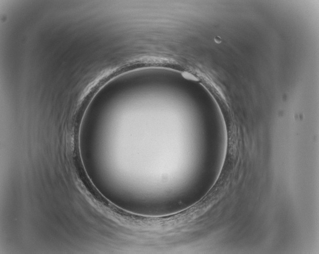 X0000085270015200703161441