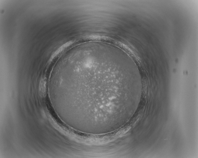 X0000085270016200703161441