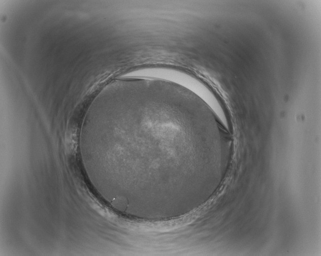 X0000085270017200703161441