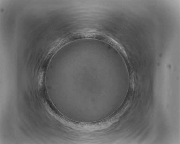 X0000085270018200703161441