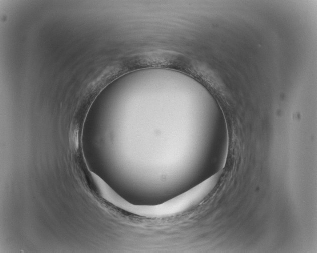 X0000085270021200703161441