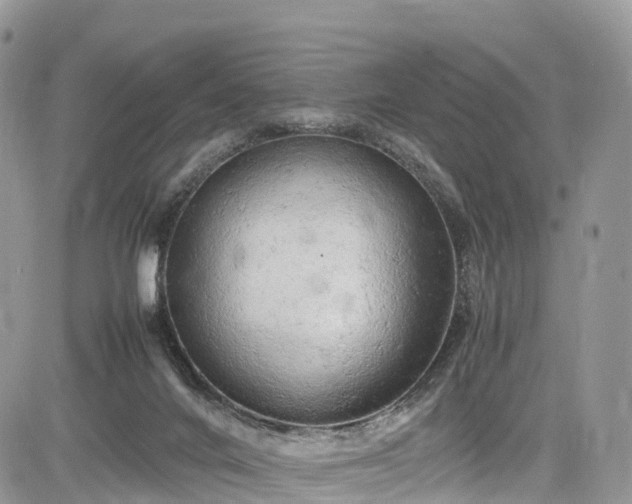 X0000085270024200703161441