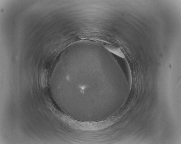 X0000085270030200703161441