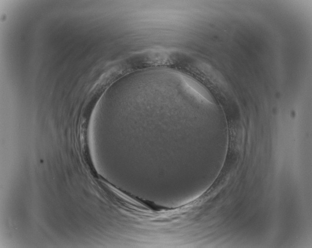 X0000085270035200703161441