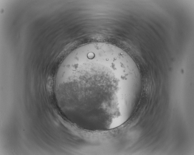 X0000085270036200703161441