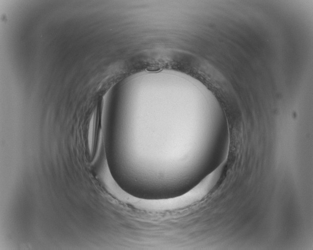 X0000085270037200703161441