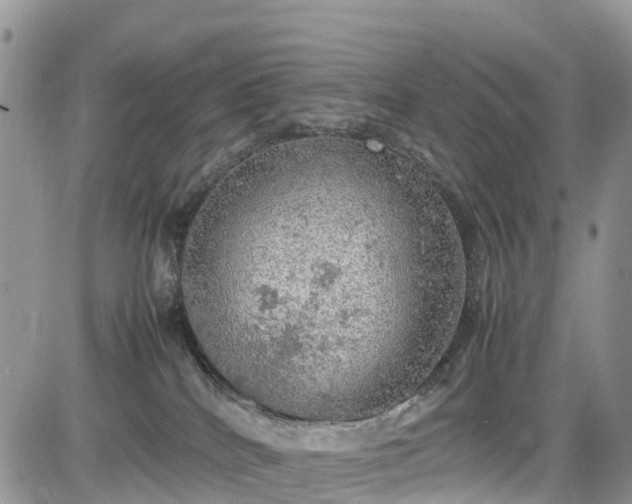 X0000085270040200703161441