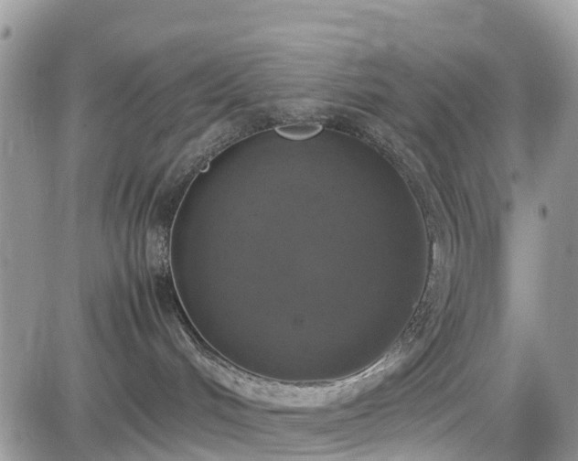 X0000085270048200703161441