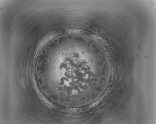 X0000085270049200703161440