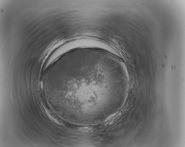 X0000085270050200703161440