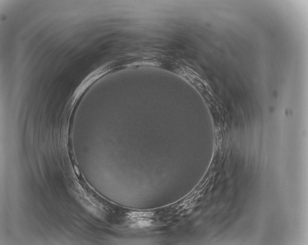 X0000085270051200703161440