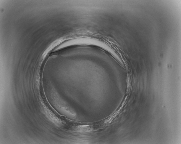 X0000085270054200703161440