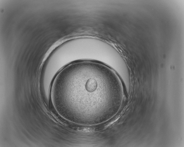 X0000085270056200703161440