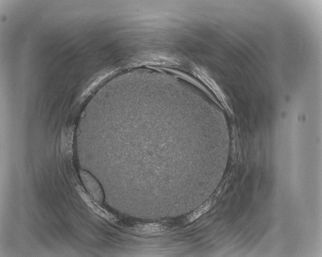 X0000085270058200703161440