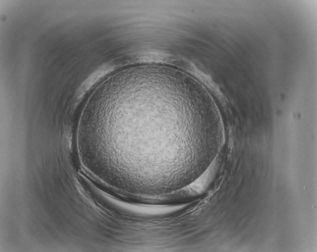 X0000085270060200703161440