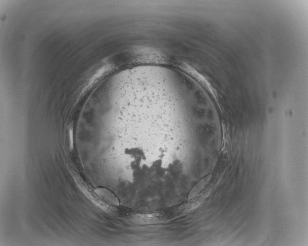 X0000085270061200703161440