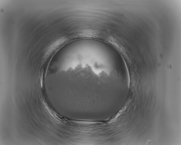 X0000085270062200703161440