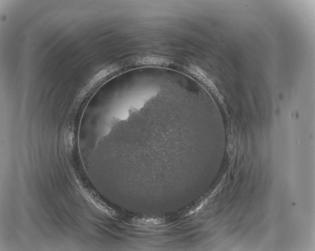 X0000085270063200703161440