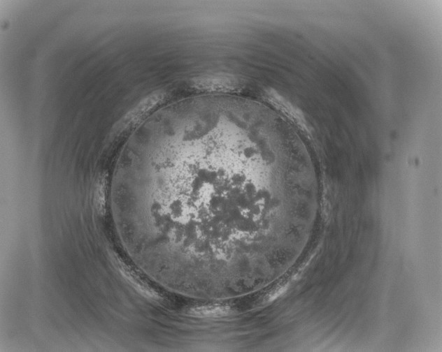 X0000085270065200703161440