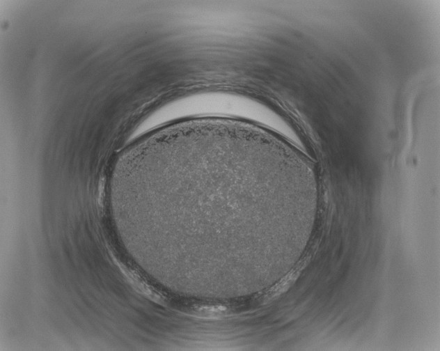 X0000085270066200703161440