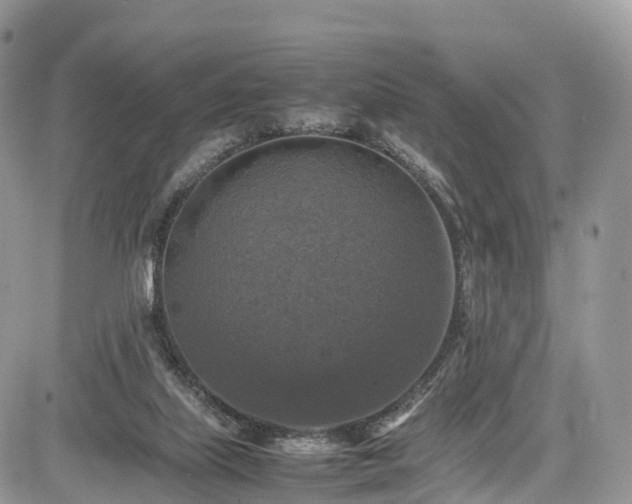 X0000085270067200703161440