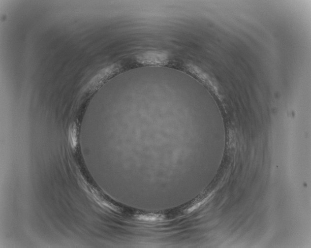 X0000085270069200703161440