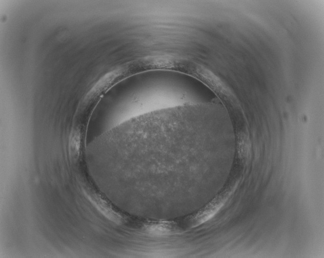 X0000085270072200703161440