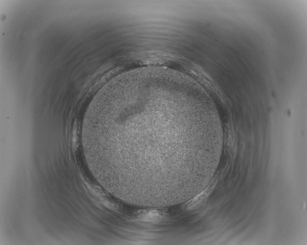 X0000085270074200703161440