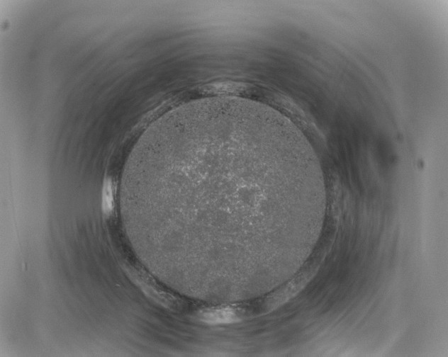 X0000085270075200703161440