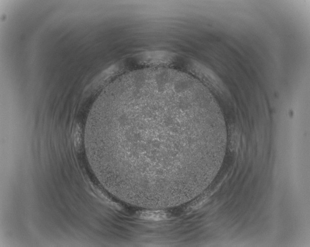 X0000085270077200703161440