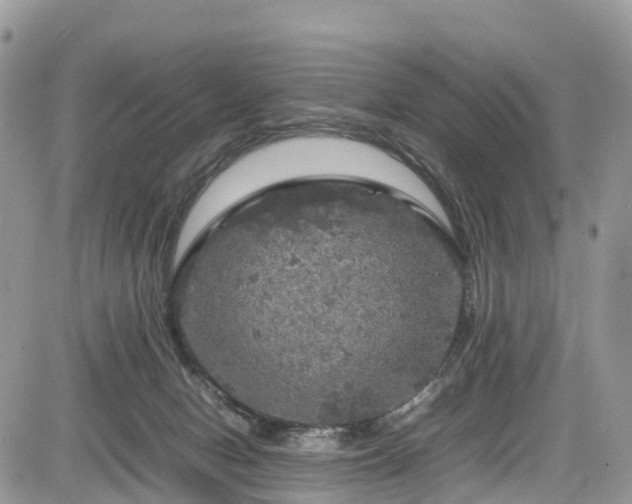 X0000085270078200703161440