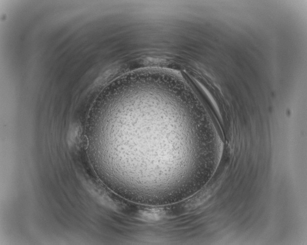 X0000085270079200703161440