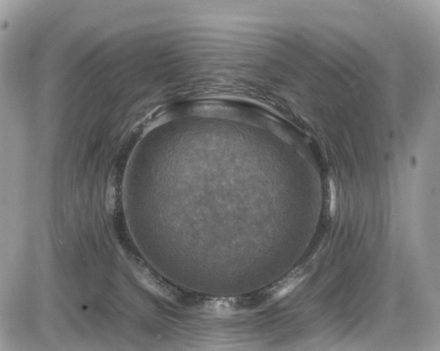 X0000085270080200703161440