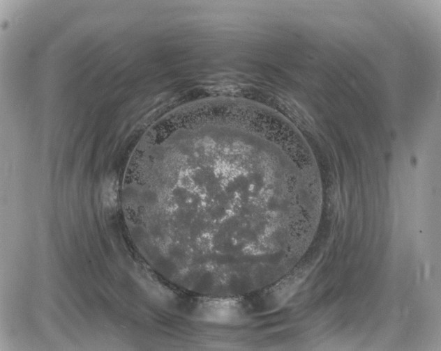 X0000085270081200703161440