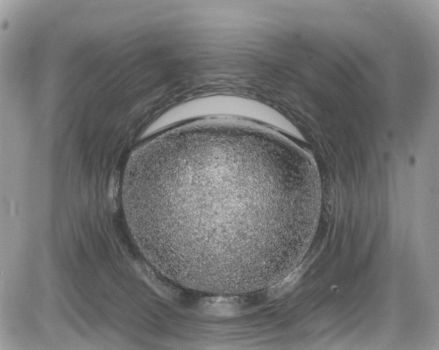 X0000085270082200703161440