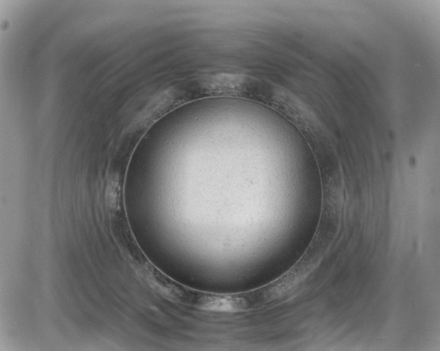 X0000085270083200703161440