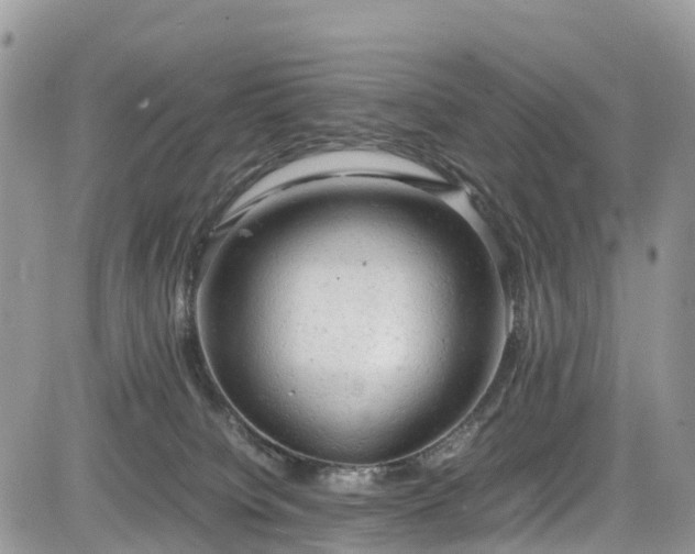 X0000085270084200703161440